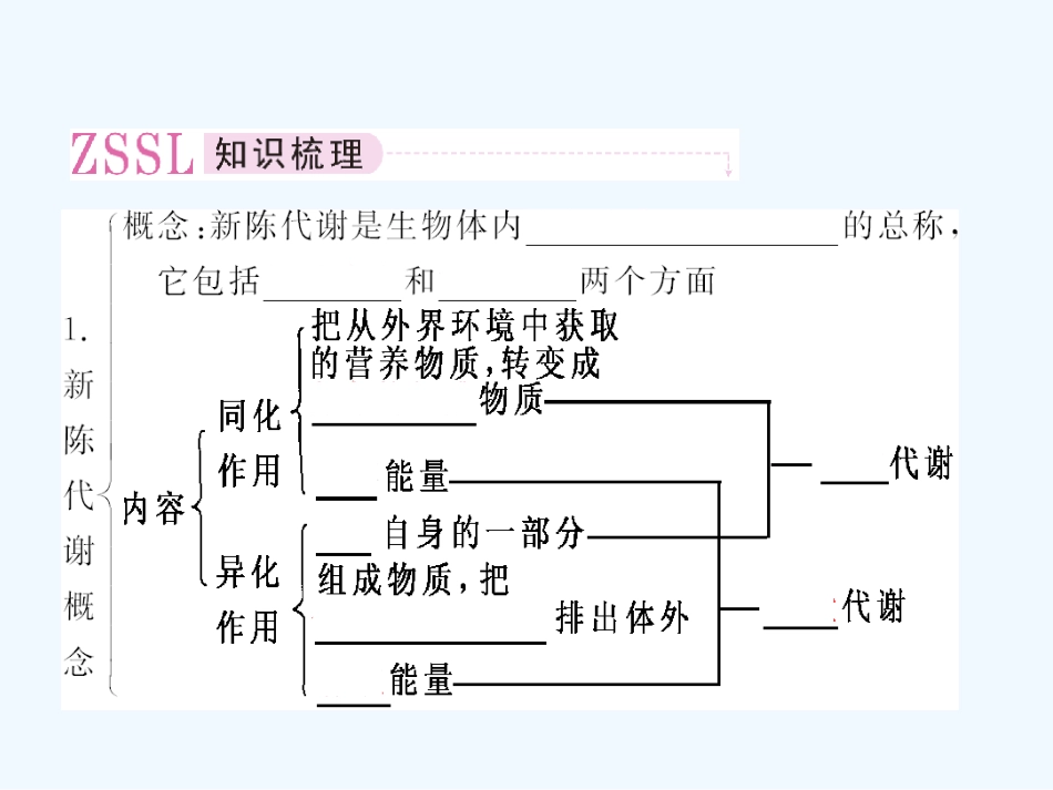 【精品】2011届高考生物第一轮复习经典学案 2-9 新陈代谢的基本类型课件_第3页