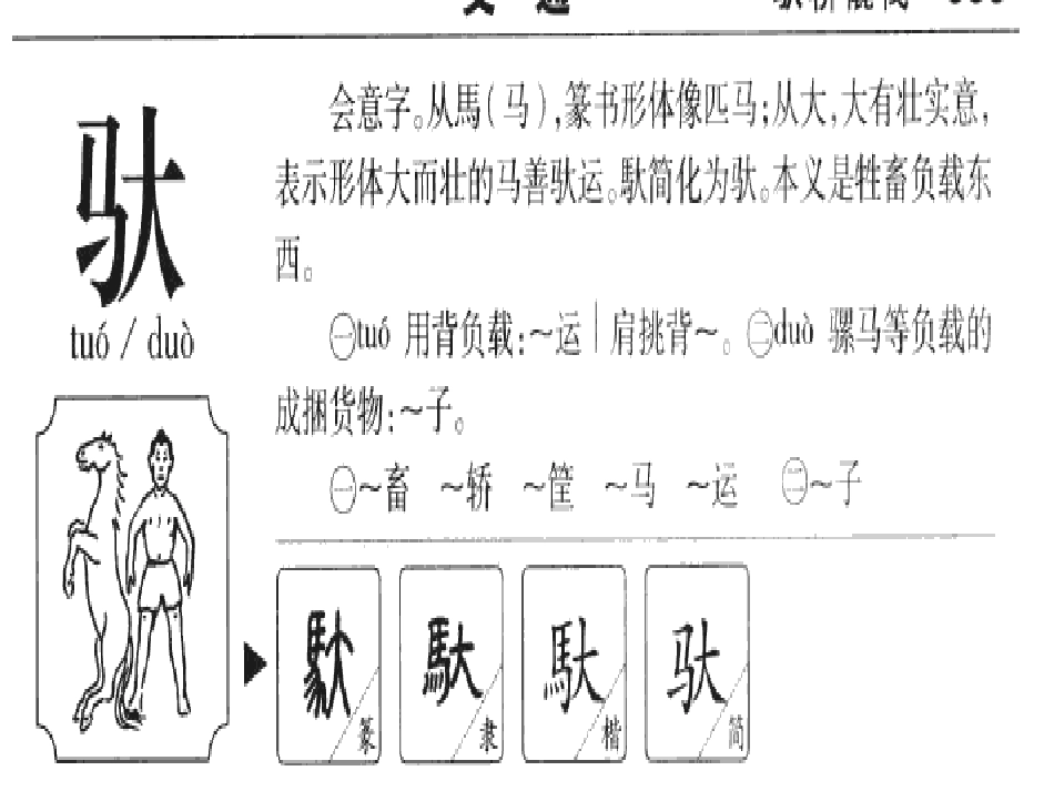 五年级下册第四单元《藏羚羊的跪拜》 (2)_第3页