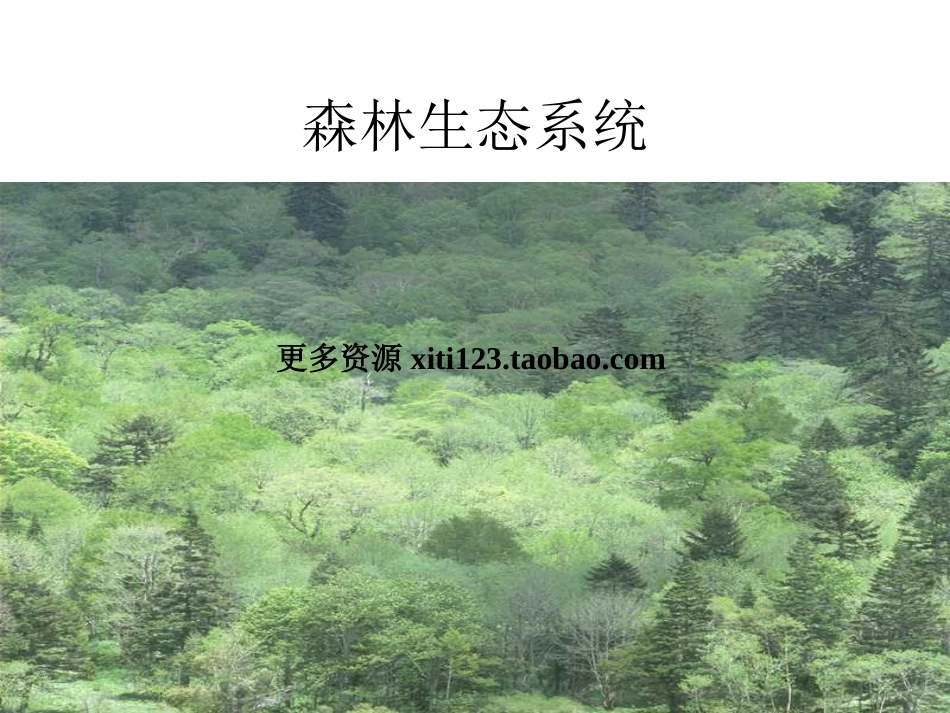 初一生物生物圈是最大的生态系统_第3页