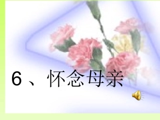 怀念母亲 (2)