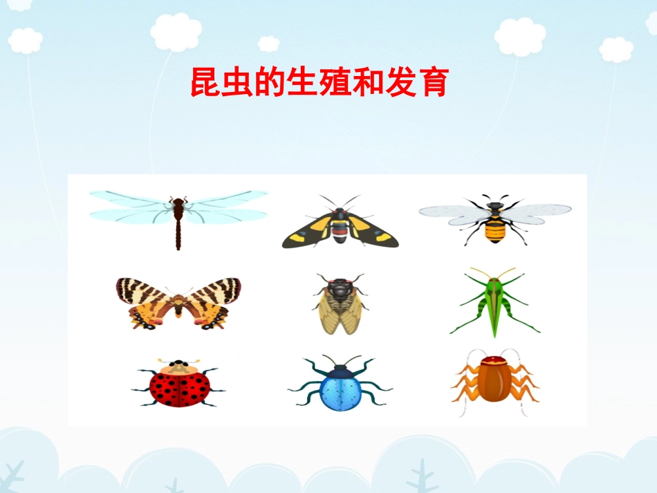 昆虫的生殖和发育 (2)_第3页