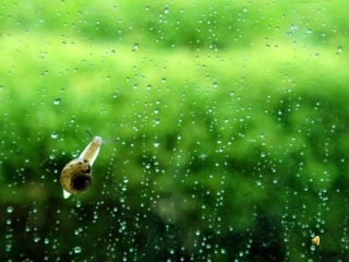 《春雨的色彩》PPT课件