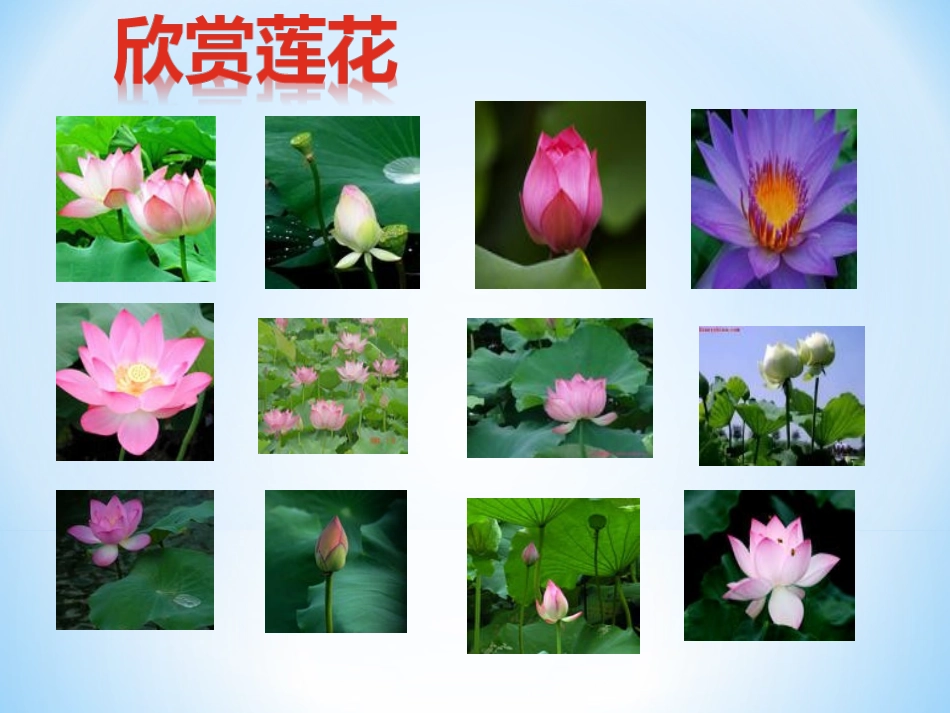 《爱莲说》优质课课件_第3页