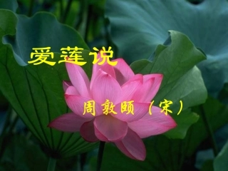 《爱莲说》优质课课件