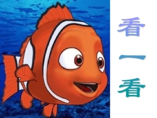 热带鱼乐园 (3)