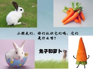 《大萝卜》(幼儿园小班下学期PPT课件) (2)