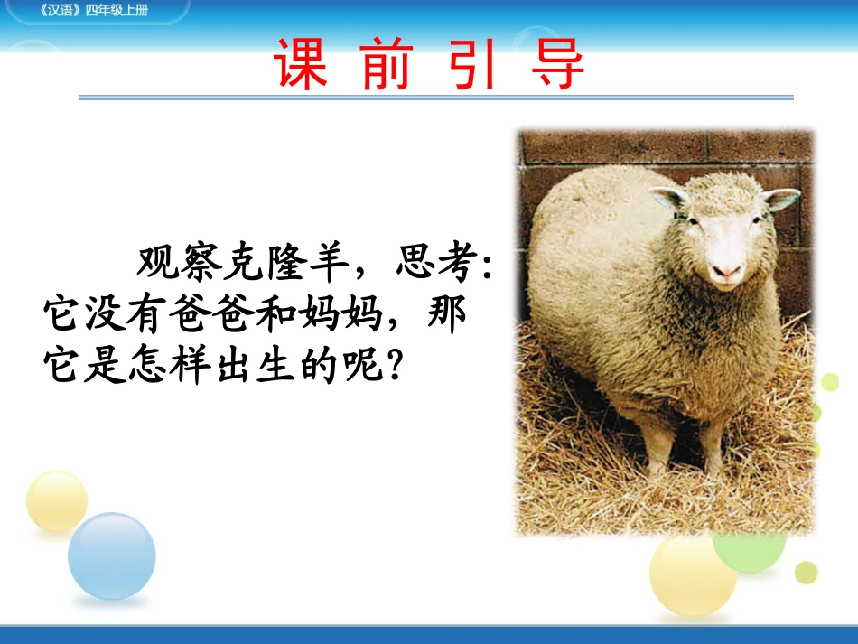 《小羊多利》课件_第3页