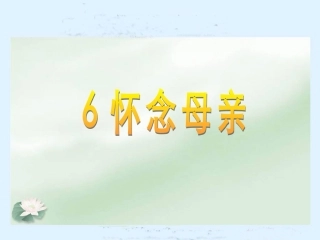 怀念母亲 (3)