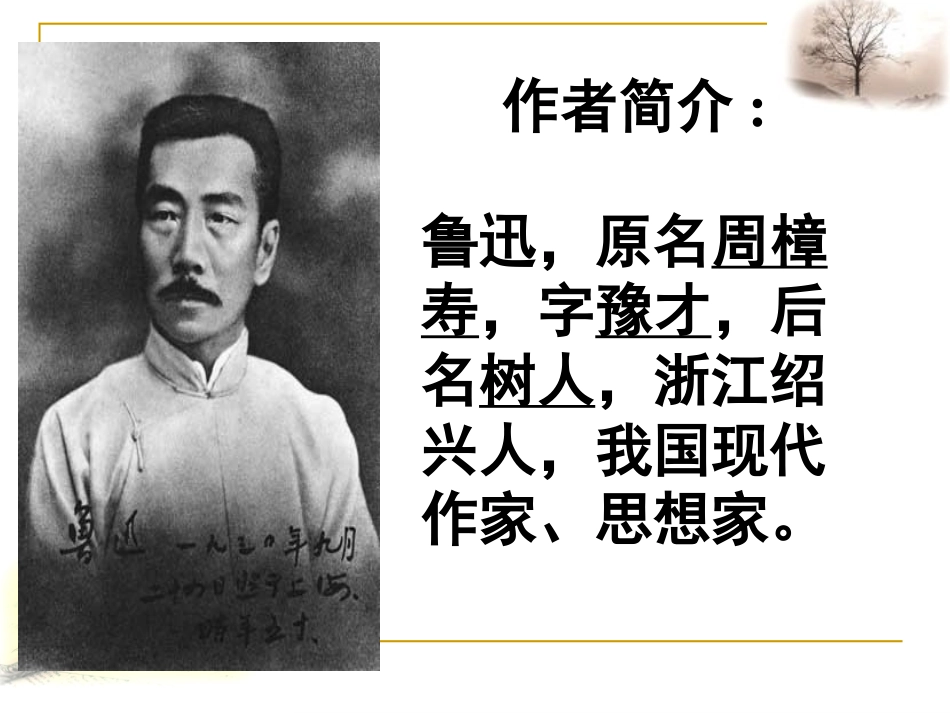 《拿来主义》公开课课件_第3页