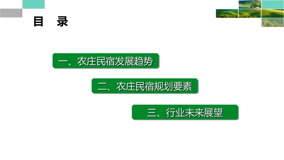 农庄民宿发展新趋势与规划重点_第2页