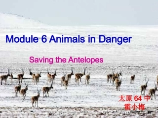 必修五Module6AnimalsinDanger
