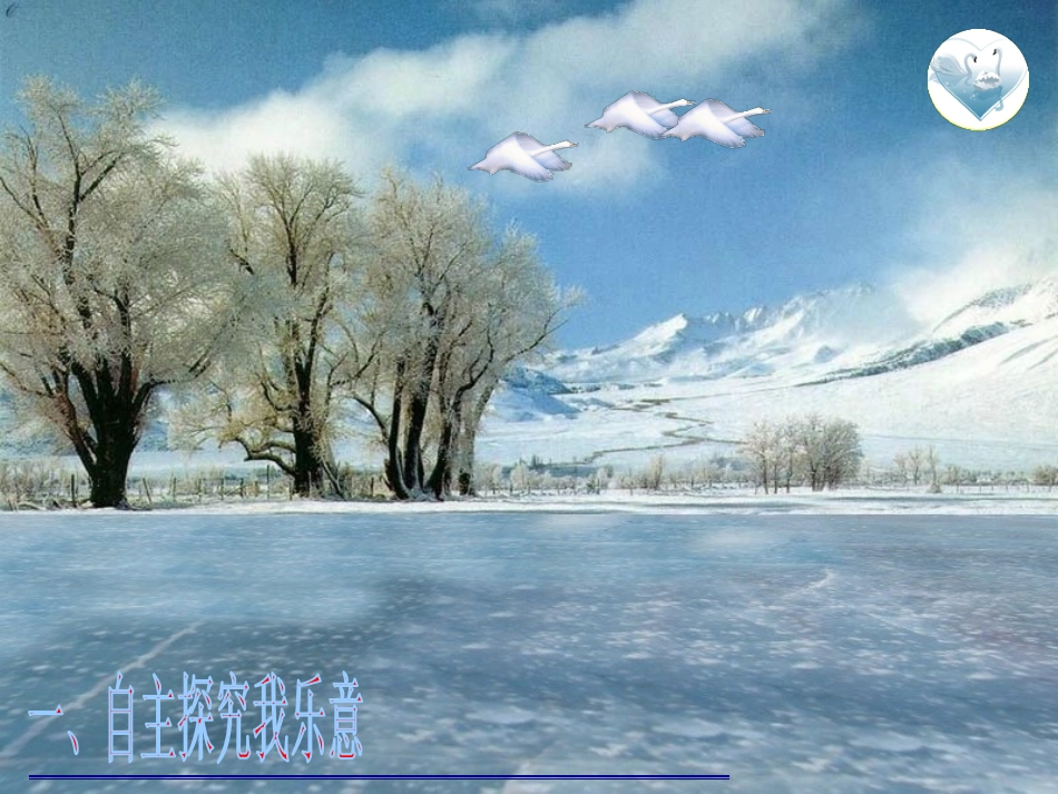 《天鹅的故事》课件_第3页