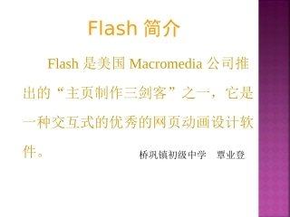 FLASH的简介
