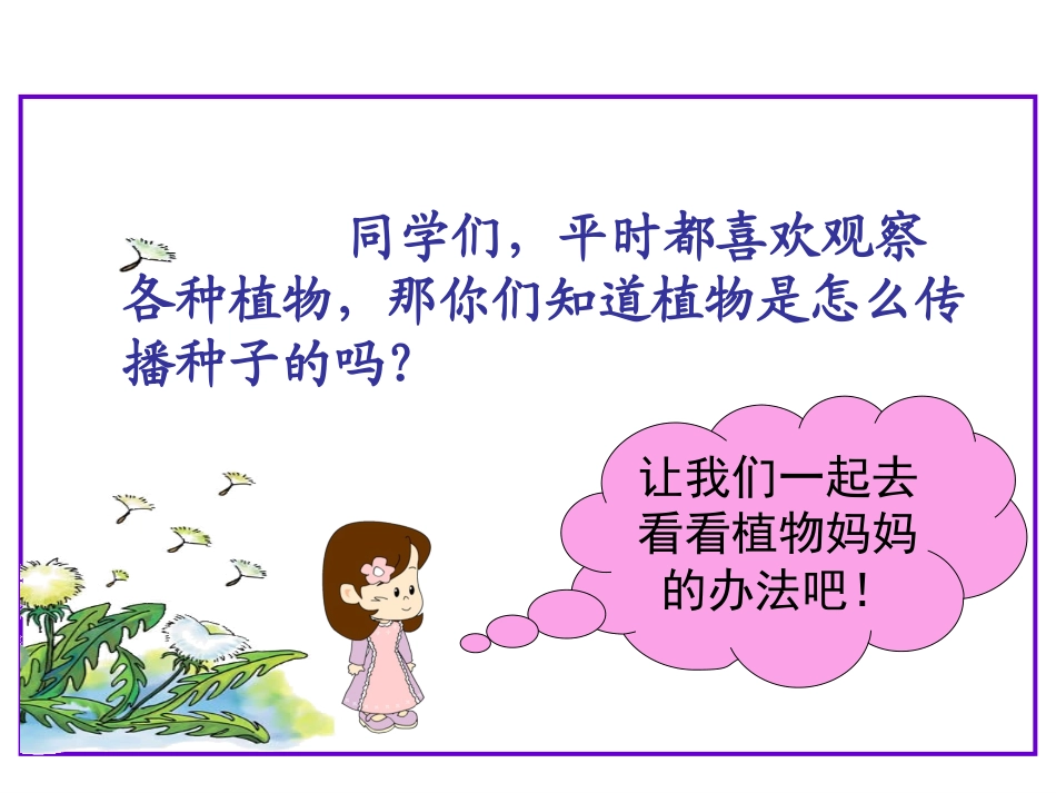 植物妈妈有办法 (3)_第2页