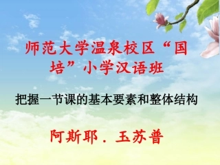 优秀课例_一面五星红旗