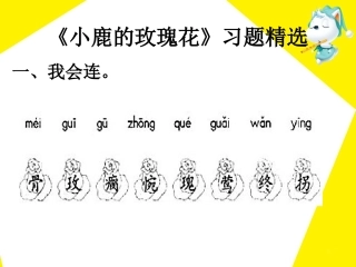 《小鹿的玫瑰花》习题精选