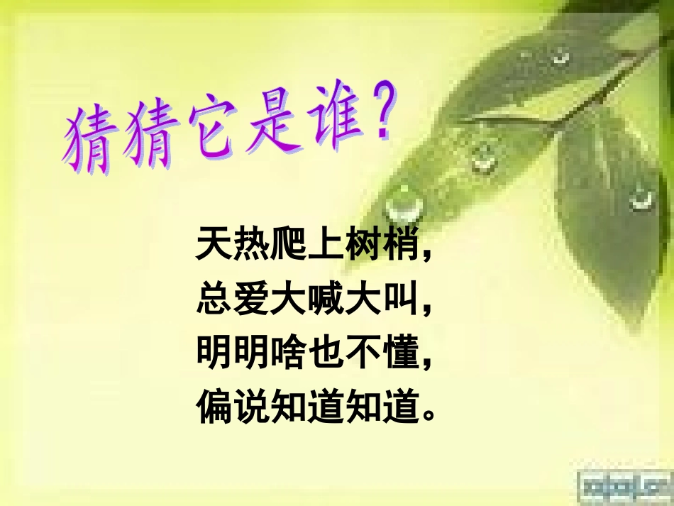 《短文两篇·蝉·贝壳》_第3页