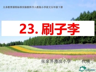 《刷子李》课件PPT代