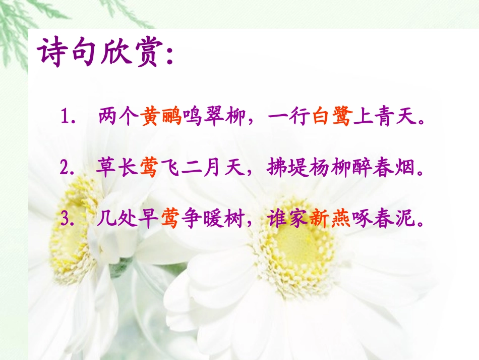 珍珠鸟 (3)_第2页