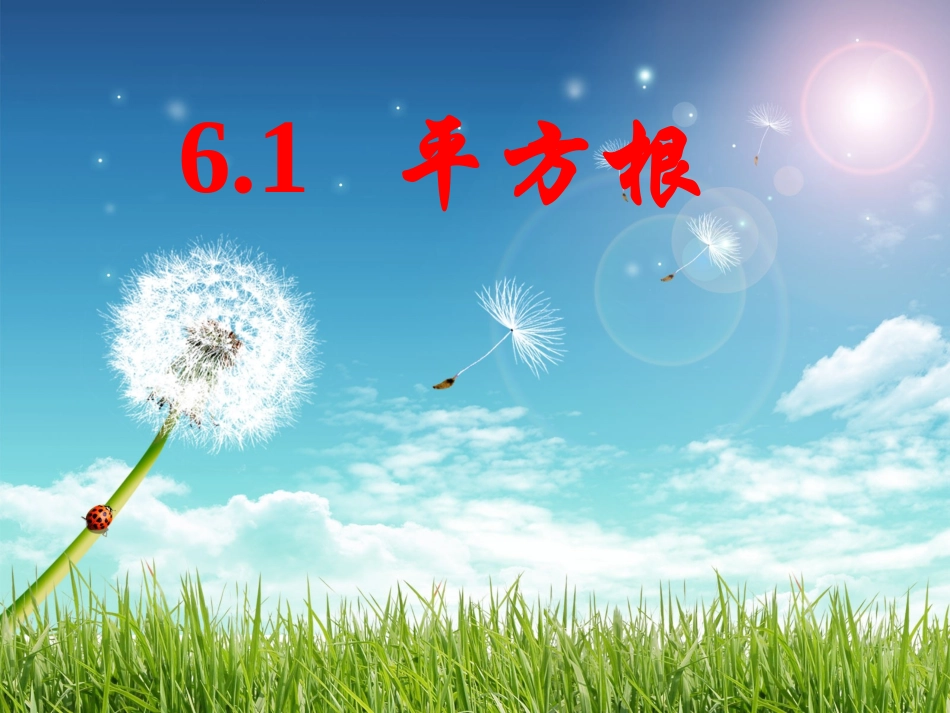 《61平方根》课件3_第1页