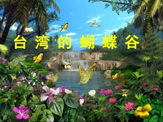 台湾的蝴蝶谷 (2)