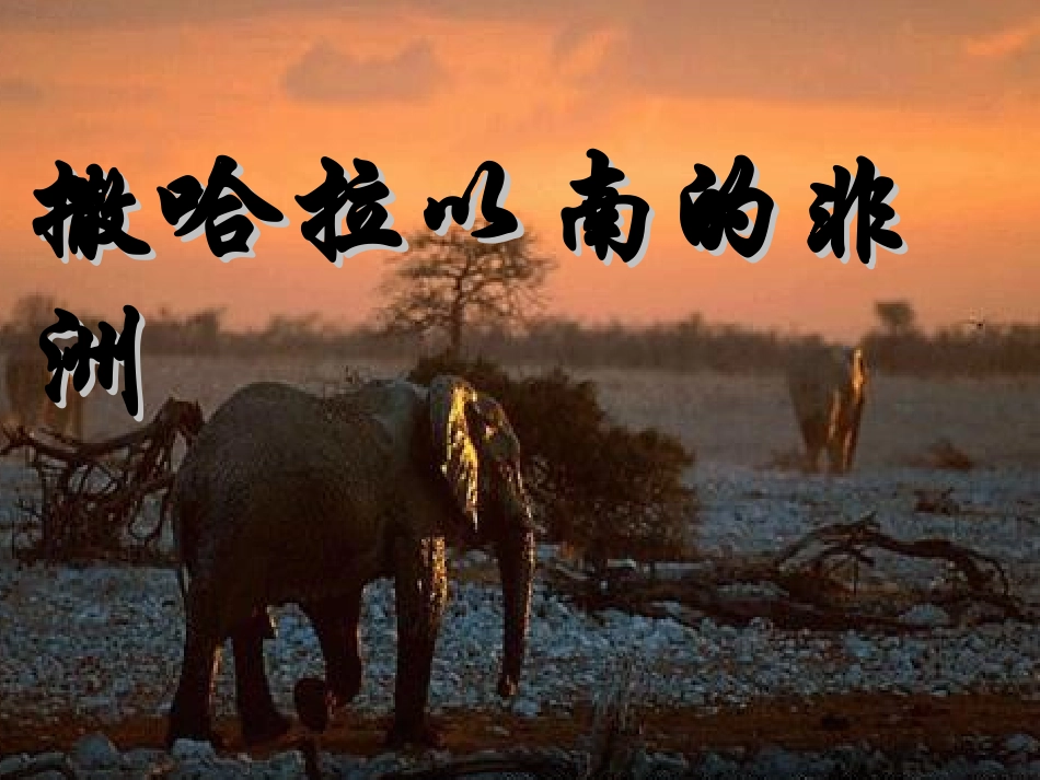 《撒哈拉以南的非洲》PPT课件_第1页