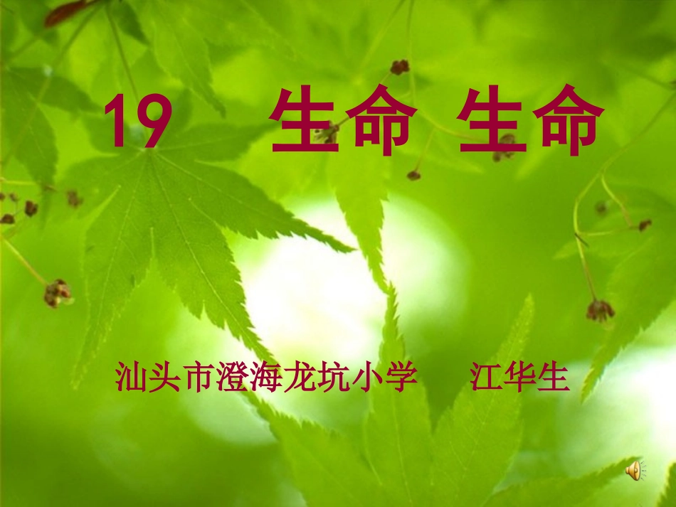 《19生命生命》公开课课件_第1页