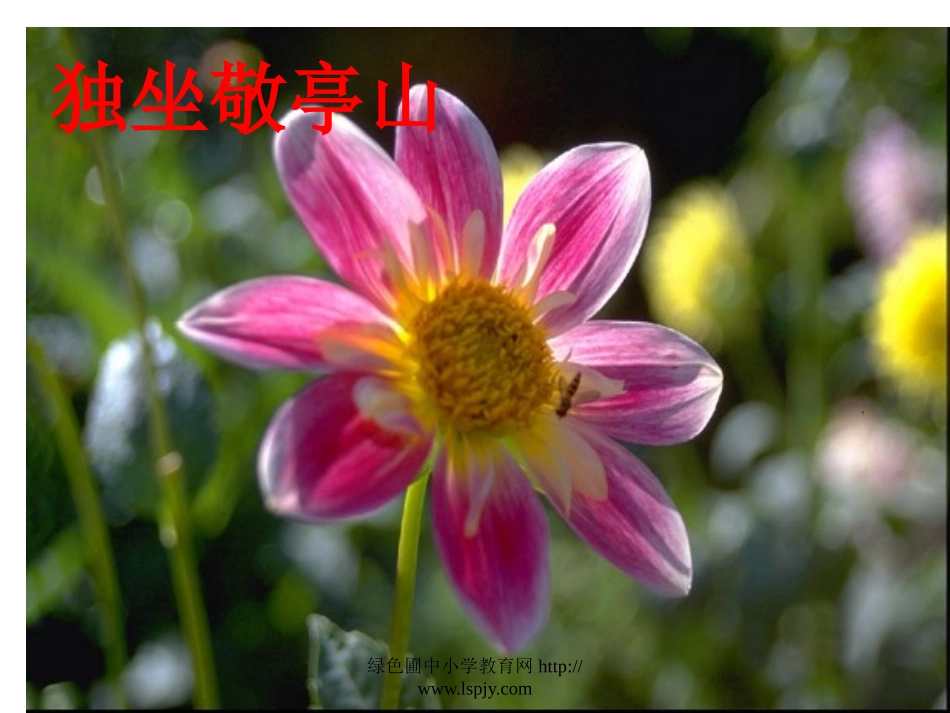 人教版四年级语文下册《独坐敬亭山》课件PPT_第1页