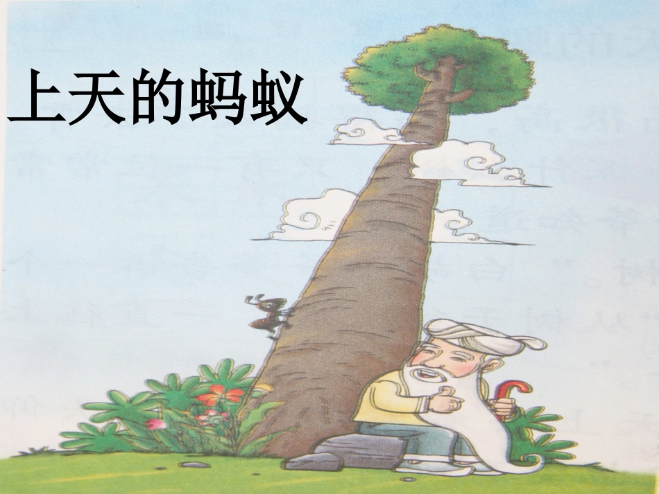 《上天的蚂蚁》课件_第1页
