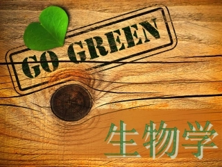 开篇[自动保存的]