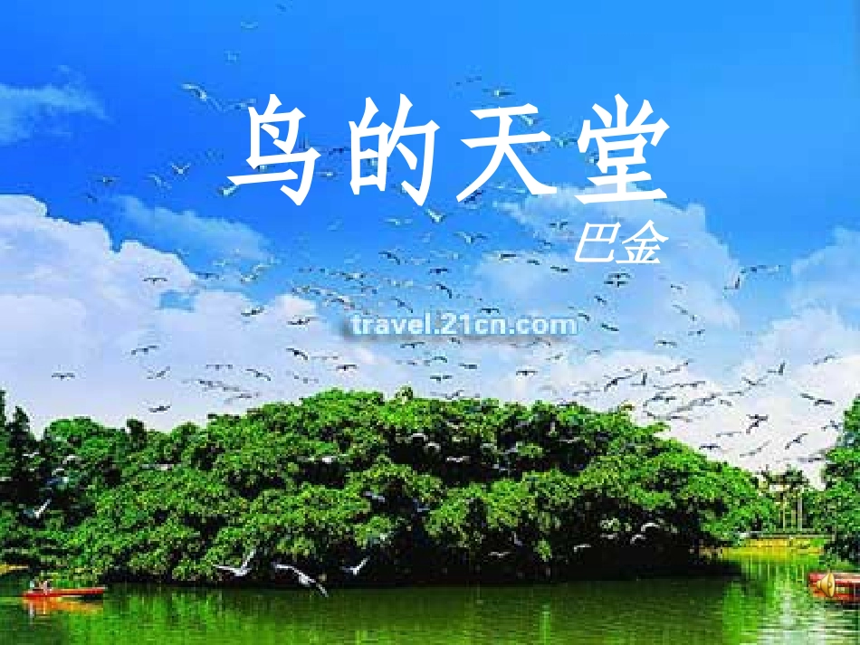 鸟的天堂课件_2_第1页