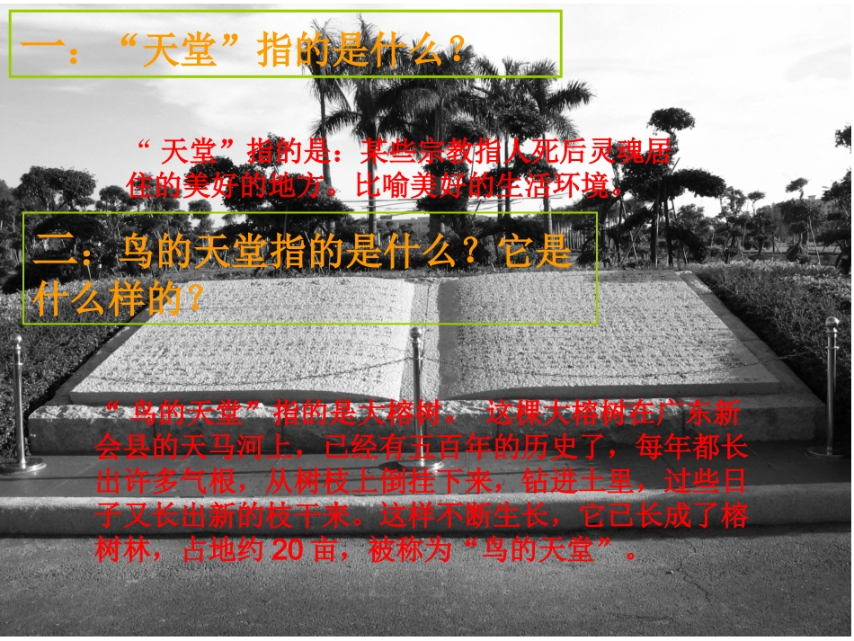 鸟的天堂课件_2_第2页