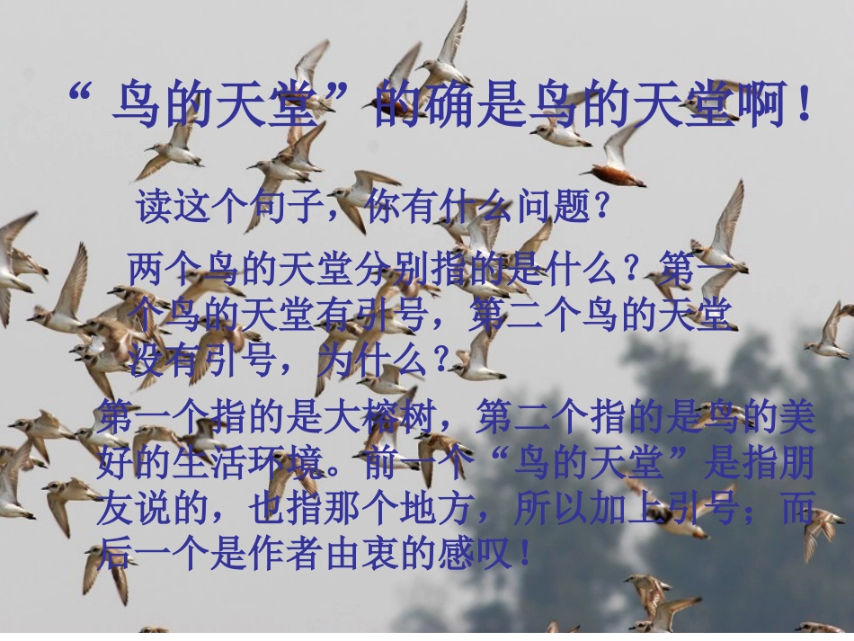 鸟的天堂课件_2_第3页