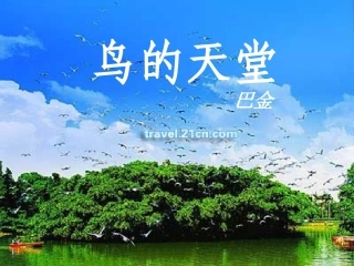 鸟的天堂课件_2