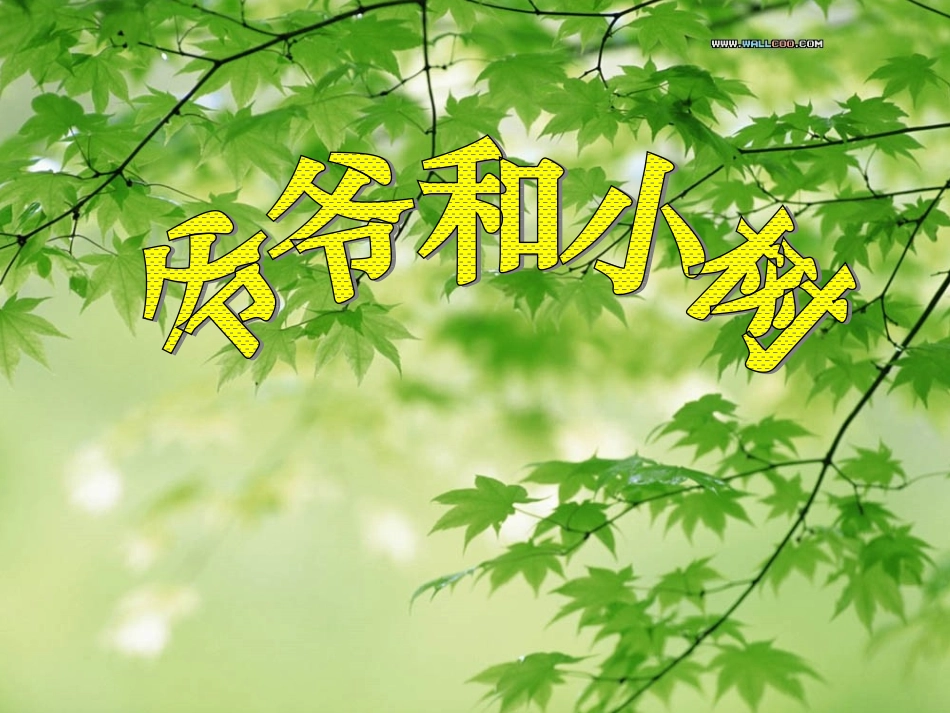 爷爷和小树的课件_第1页
