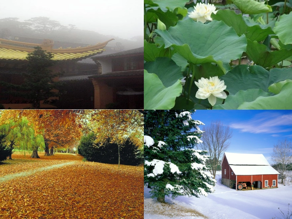 《故都的秋》精品课件PPT_第1页