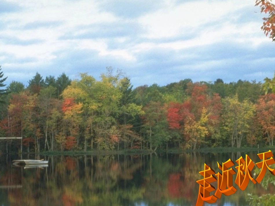 《故都的秋》精品课件PPT_第2页