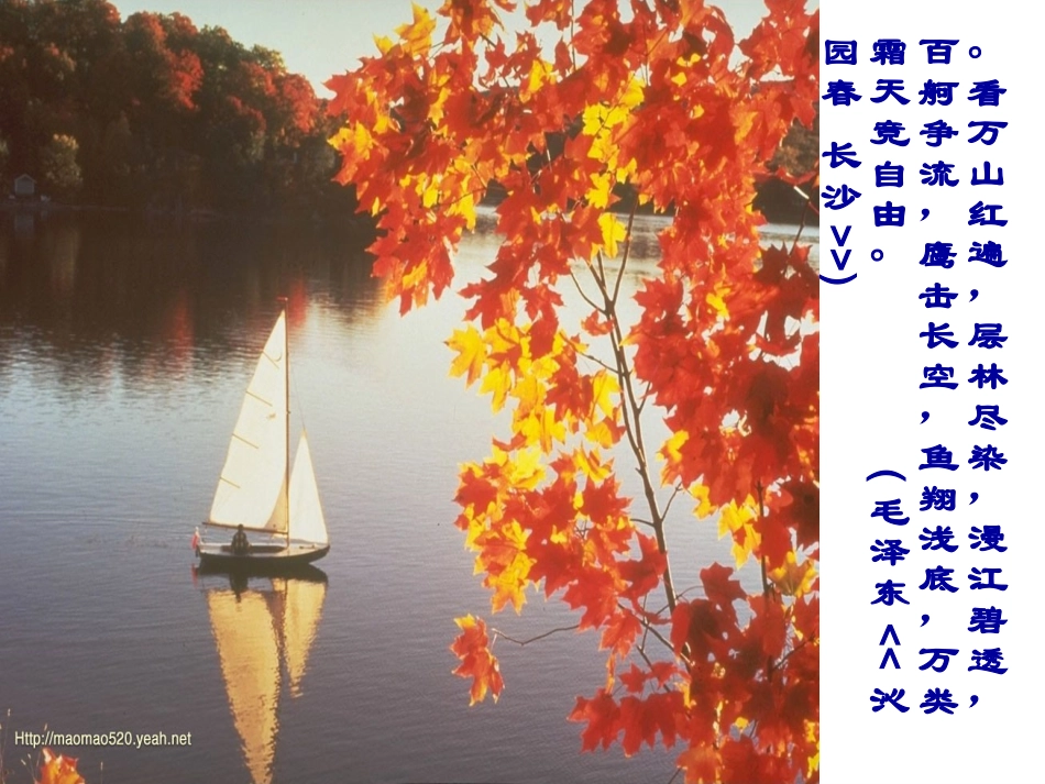 《故都的秋》精品课件PPT_第3页