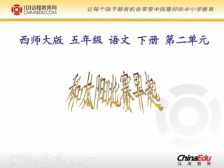 西师大版小学五下《和太阳比赛早起》课件