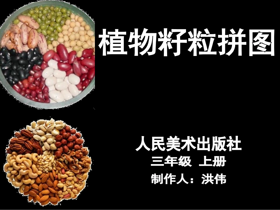 三级美术——种子贴画——库都尔小学洪伟_第2页