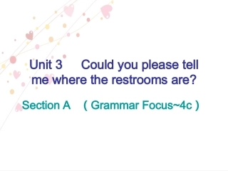 九全第3单元SectionA(GrammarFocus~4c)