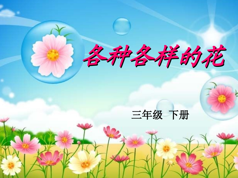 《各种各样的花》_第1页