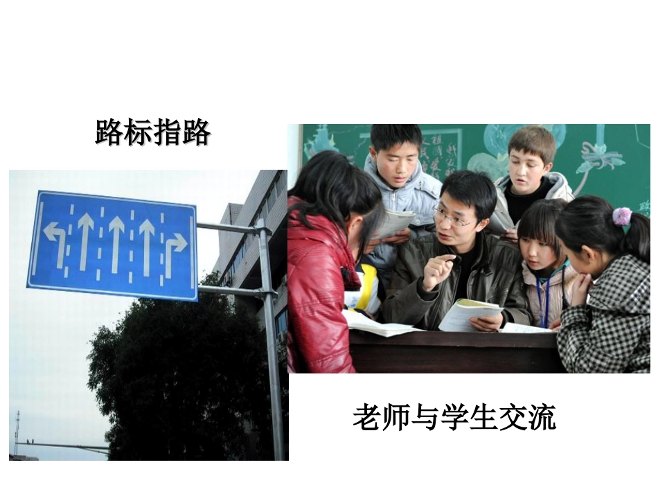 《生态系统的信息传递》课件_第3页