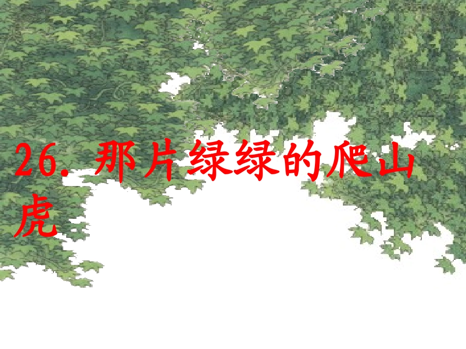 《那片绿绿的爬山虎》课件05358_第1页