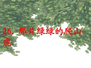 《那片绿绿的爬山虎》课件05358