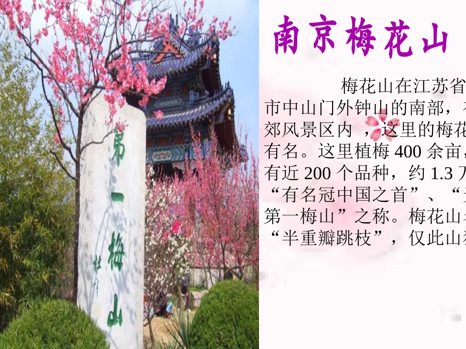 《春到梅花山》龙平_第2页