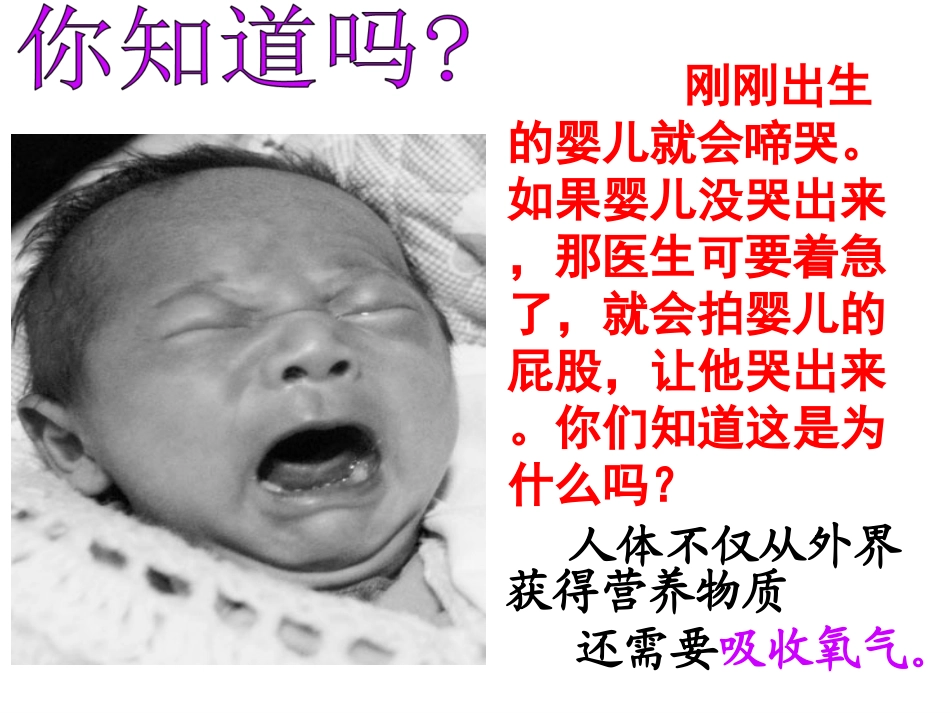 新人教版七年级生物下册：31《呼吸道对空气的处理》课件（共31张PPT）_第1页