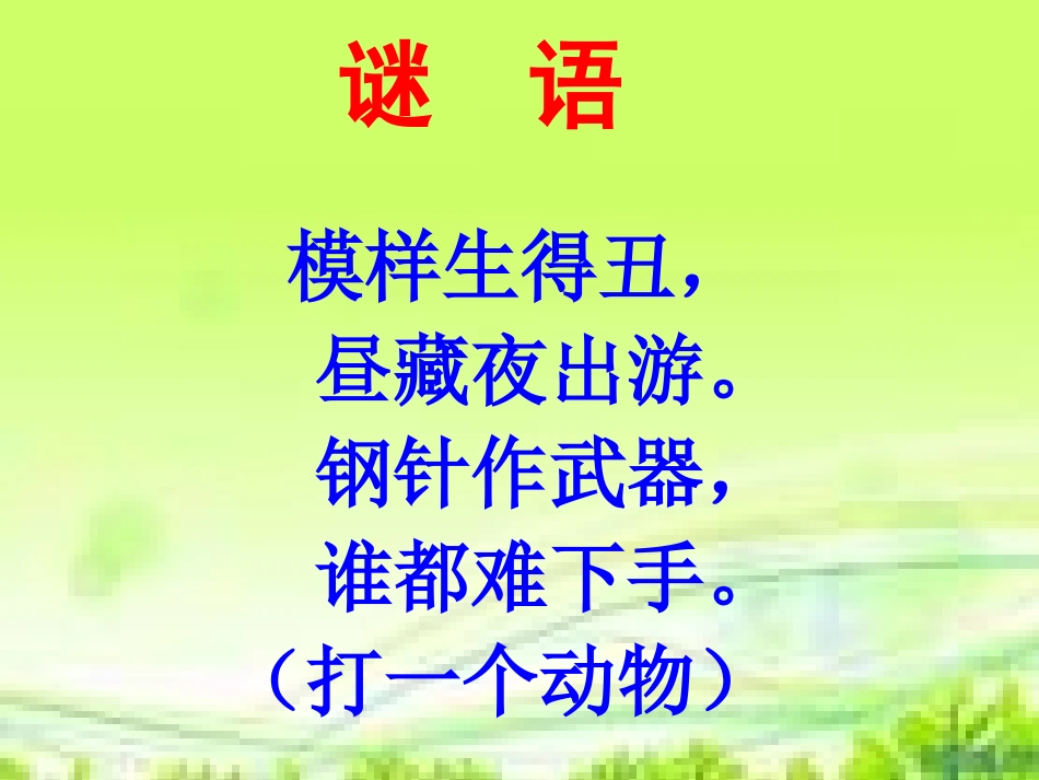 《找刺猬》教学课件aa_第1页