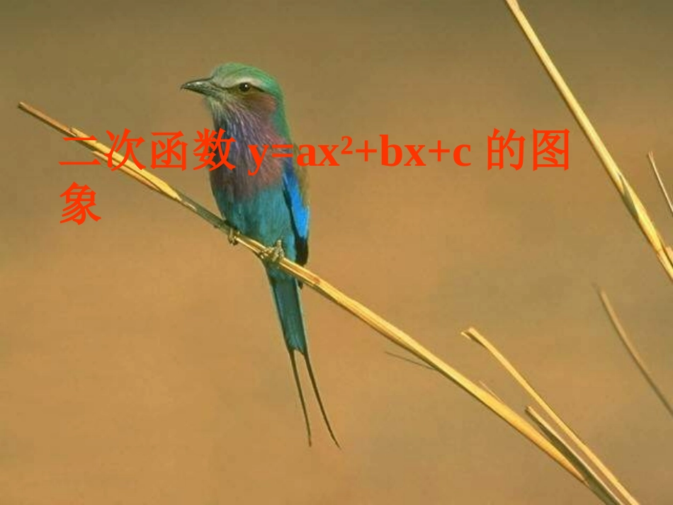 二次函数y=ax2+bx+c的图象课件5_第1页