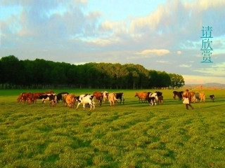 人教版初一上学期第三单元《草原牧歌》第一课时课件